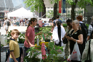 farmers market